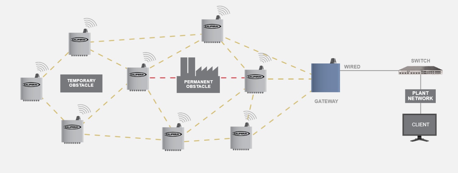 Caliperay network